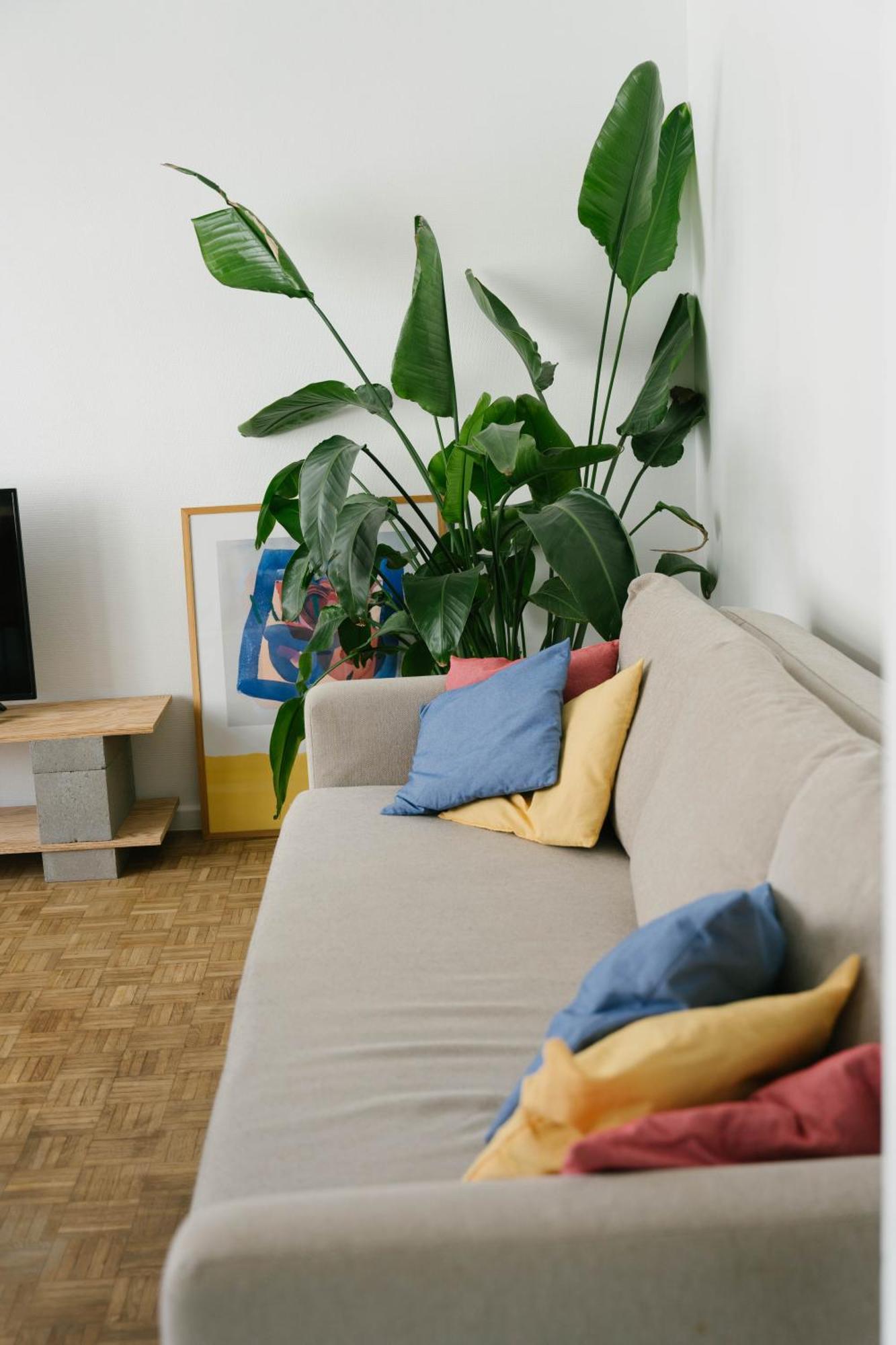 Centrally Located Apartment Close To The Beach Oostende Exteriör bild